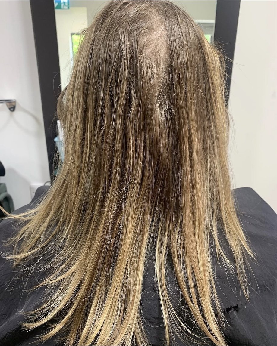 Fine, dry hair before colour at INCH Hair Design